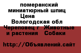 померанский миниатюрный шпиц › Цена ­ 12 000 - Вологодская обл., Череповец г. Животные и растения » Собаки   